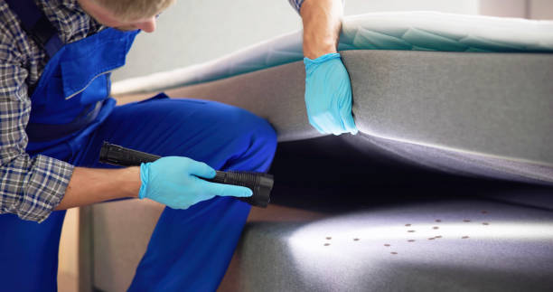 Best Pest Control Cost  in Massillon, OH